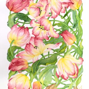 Winding Tulips